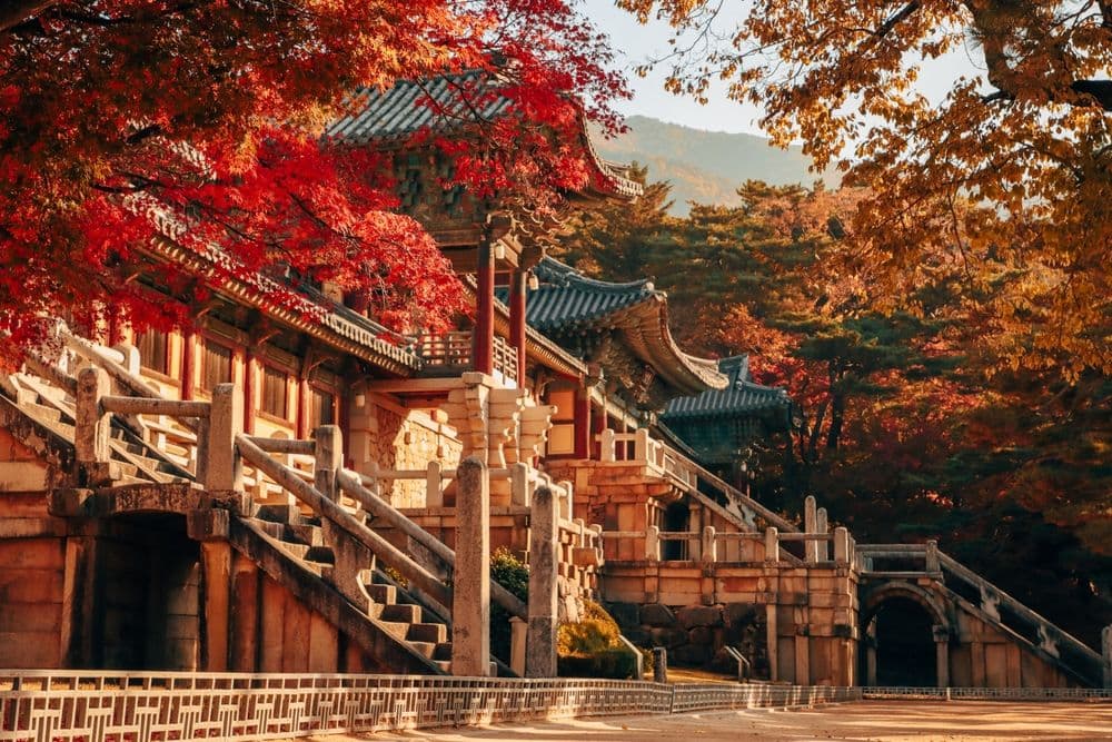 Bulguktemple bulguksa korea gyeongju travel trip